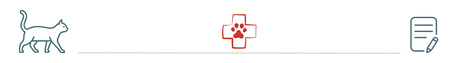 Preventive Care and Pet Insurance pet insurance supports preventive veterinary care at Westside Veterinary Hospital in Marietta GA