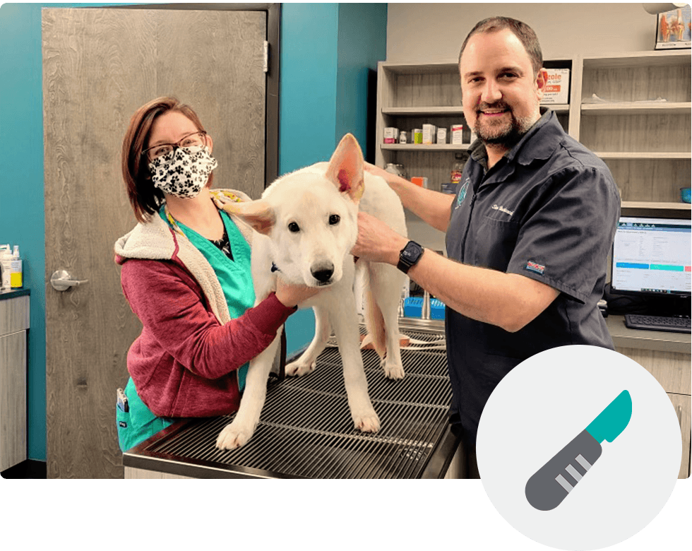 Two veterinarians with a white dog on an examination table in an animal clinic.