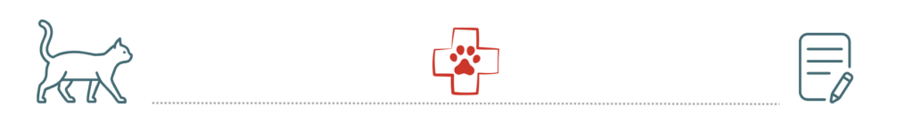 Preventive Care and Pet Insurance