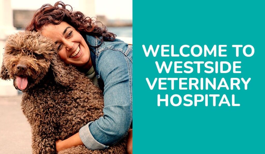 A person in a denim jacket happily hugging a curly-haired dog next to a welcoming sign for Westside Veterinary Hospital.