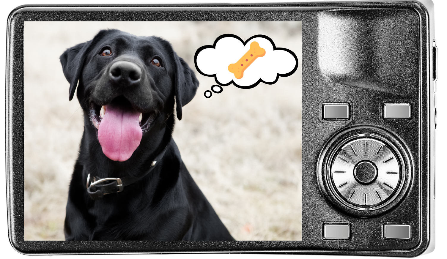 Camera screen showing a dog thinking about their favorite treat